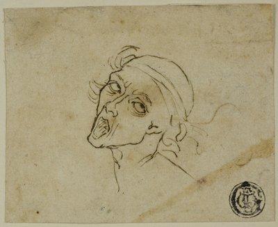 Testa maschile da Michelangelo Buonarroti