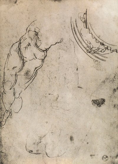Gambe maschili da Michelangelo Buonarroti