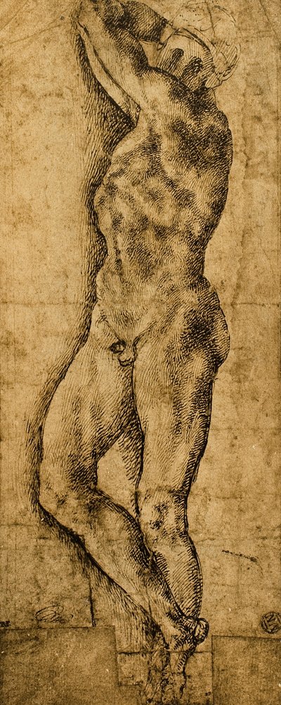 Nudo maschile; disegno di Michelangelo da Michelangelo Buonarroti