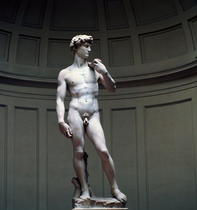 David di Michelangelo da Michelangelo Buonarroti