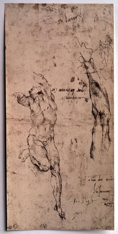 Uomo nudo, studio del braccio Disegno di Michelangelo Buonarroti da Michelangelo Buonarroti