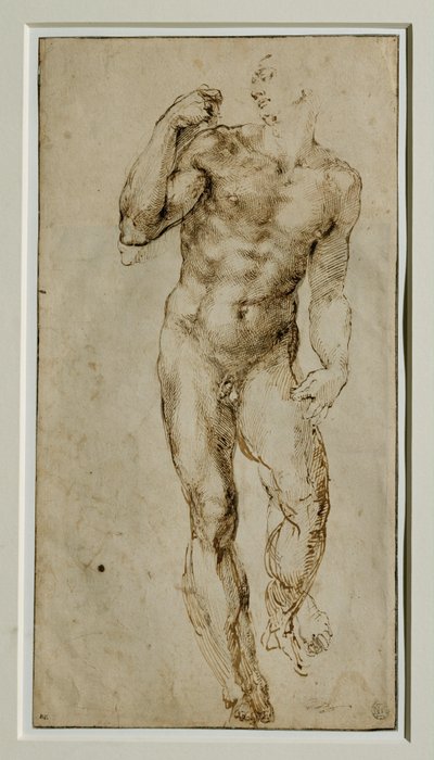 Nudo maschile, vista frontale, 1502-1506 circa ... da Michelangelo Buonarroti