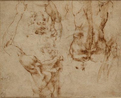 Studi di nudo, c1490-1560 da Michelangelo Buonarroti