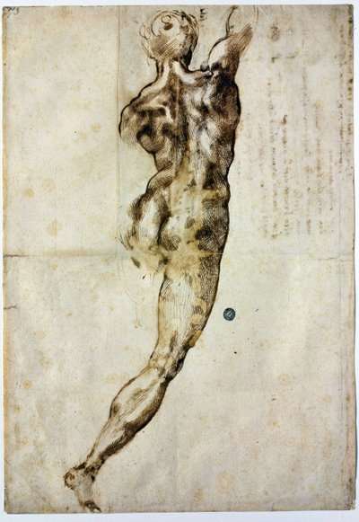 Nudo di schiena, c. 1504 da Michelangelo Buonarroti
