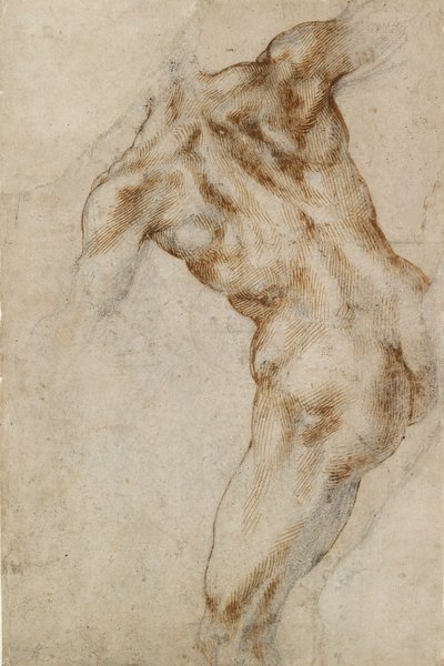 Torso maschile nudo, inizio XVI secolo da Michelangelo Buonarroti