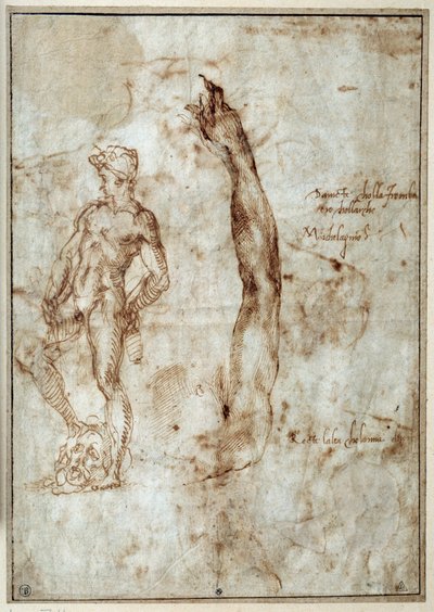 Studio di nudo da Michelangelo Buonarroti