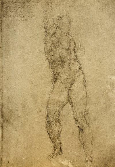 Studio di nudo, disegno di Michelangelo da Michelangelo Buonarroti