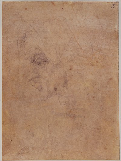 Profilo di una donna anziana da Michelangelo Buonarroti