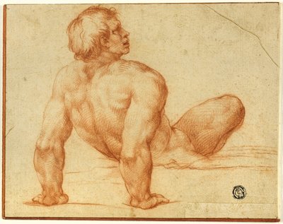 Nudo maschile seduto da Michelangelo Buonarroti