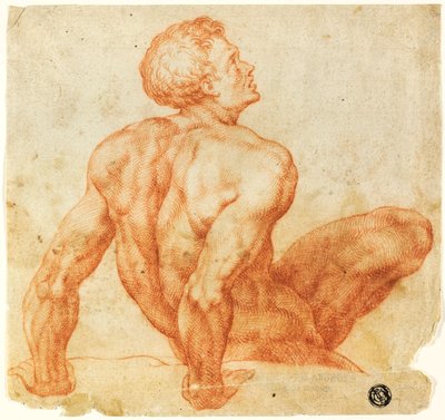 Nudo Maschile Seduto da Michelangelo Buonarroti