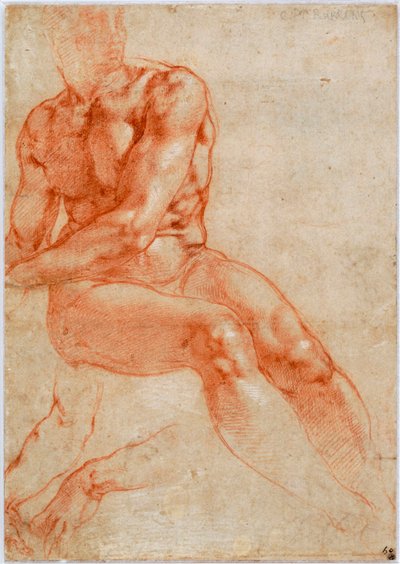 Giovane maschio nudo seduto e due studi di braccia, ca 1510-1511 da Michelangelo Buonarroti