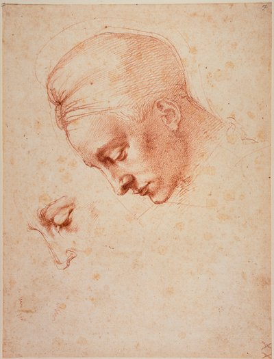 Studi per la testa di 