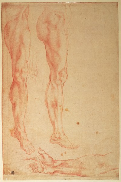 Studi di gambe e braccia da Michelangelo Buonarroti