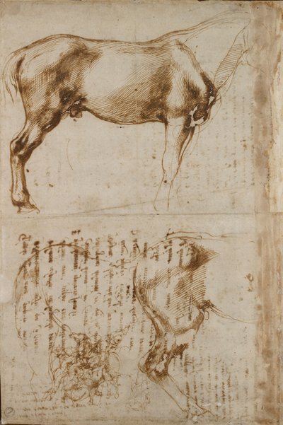 Studi di un cavallo e di un cavaliere che attacca soldati a piedi, inizio XVI secolo da Michelangelo Buonarroti