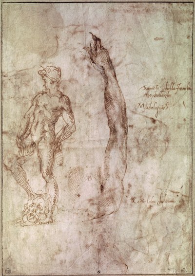  da Michelangelo Buonarroti
