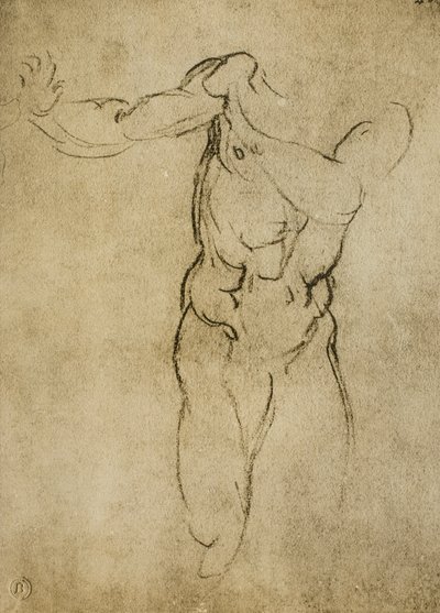 Studio per un busto maschile da Michelangelo Buonarroti