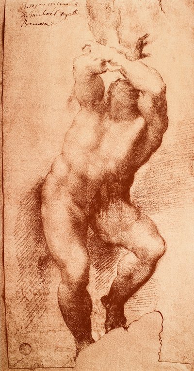 Studio per una delle figure del Giudizio Universale da Michelangelo Buonarroti