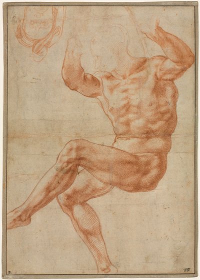 Studio per il Giovane Nudo sopra il Profeta Daniele (recto) da Michelangelo Buonarroti