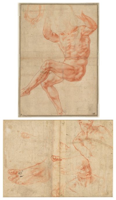 Studio per il Giovane Nudo sopra il Profeta Daniele (recto); Studi di Figure per il Soffitto della Sistina (verso) da Michelangelo Buonarroti