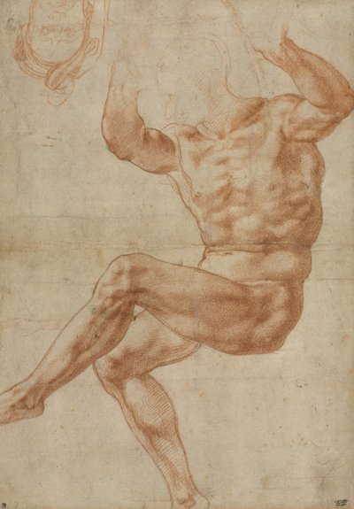 Studio per il Giovane Nudo sopra il Profeta Daniele, per il Soffitto della Sistina, 1510-11 da Michelangelo Buonarroti