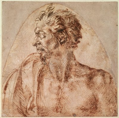Studio di testa e spalle da Michelangelo Buonarroti