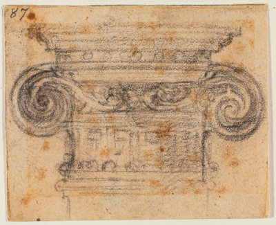 Studio di capitello ionico da Michelangelo Buonarroti