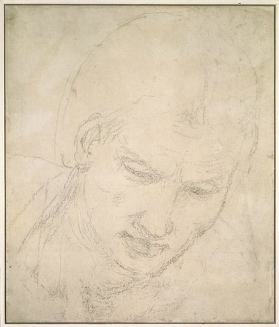 Studio di una testa da Michelangelo Buonarroti