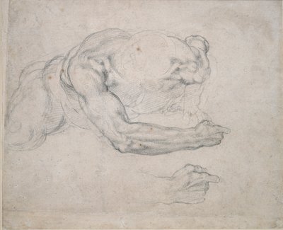 Studio di un uomo che si alza da terra da Michelangelo Buonarroti