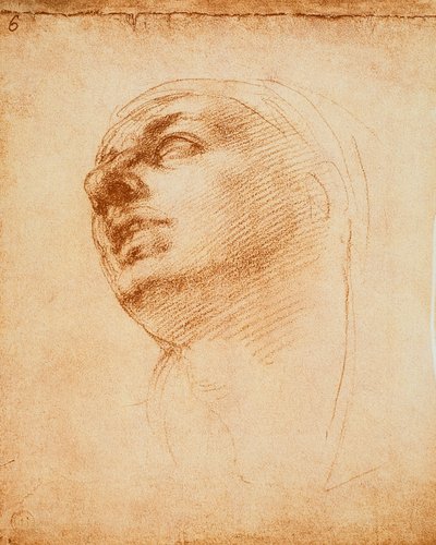 Studio di un volto da Michelangelo Buonarroti