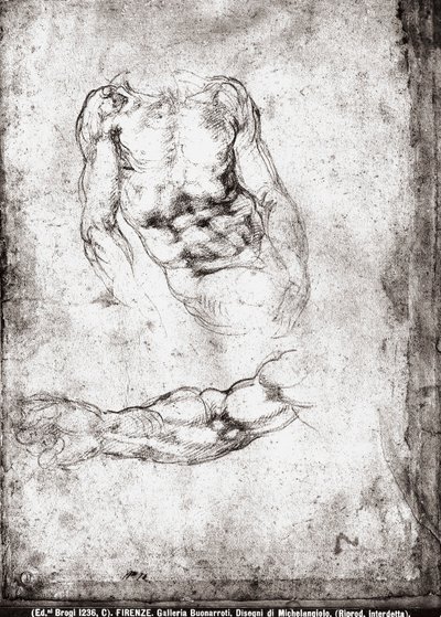 Studio di un torso e braccio maschile da Michelangelo Buonarroti