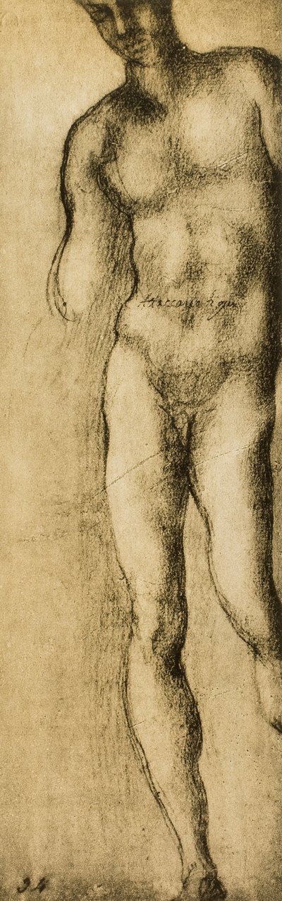 Studio di una figura maschile da Michelangelo Buonarroti