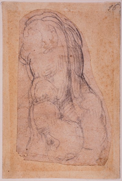 Studio di un