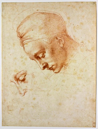 Studio per la testa di Leda, ca 1530 da Michelangelo Buonarroti