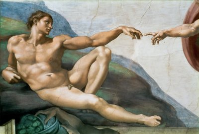 La Creazione di Adamo (dettaglio) da Michelangelo Buonarroti