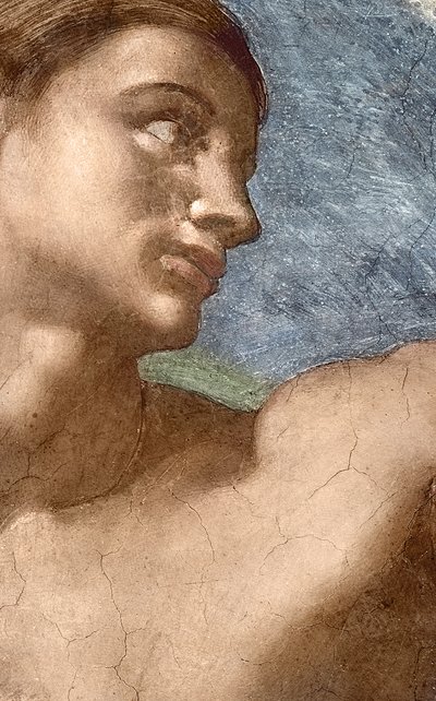 La Creazione di Adamo, dettaglio della testa di Adamo da Michelangelo Buonarroti