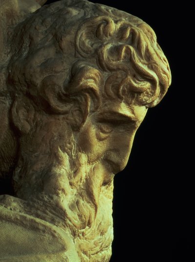 Il Genio della Vittoria di Michelangelo Buonarroti 1475-1564, dettaglio di una testa non finita, 1527-28 da Michelangelo Buonarroti