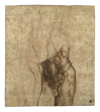 Il Cristo risorto, nudo a tre quarti di lunghezza che guarda in basso a destra da Michelangelo Buonarroti