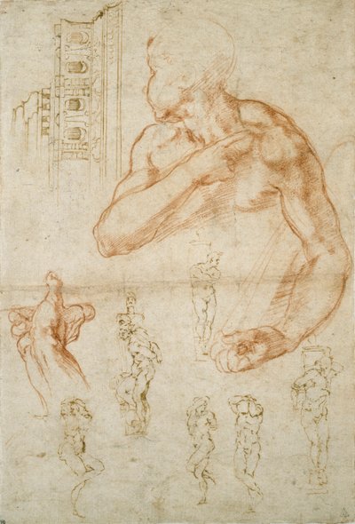 Vari studi per il soffitto della Sistina e la tomba di Papa Giulio II, c1490-1560 da Michelangelo Buonarroti