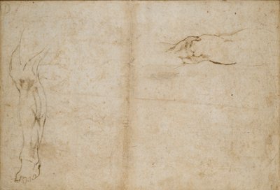 Verso: Studi di una gamba d