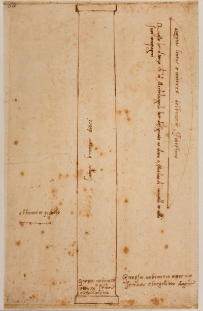Sezione verticale della colonna per la facciata di San Lorenzo da Michelangelo Buonarroti