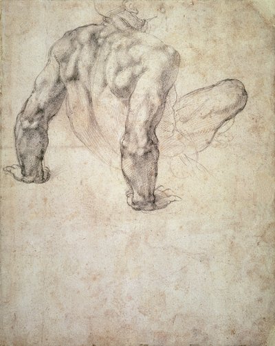 Studio di un nudo maschile, appoggiato sulle mani da Michelangelo Buonarroti