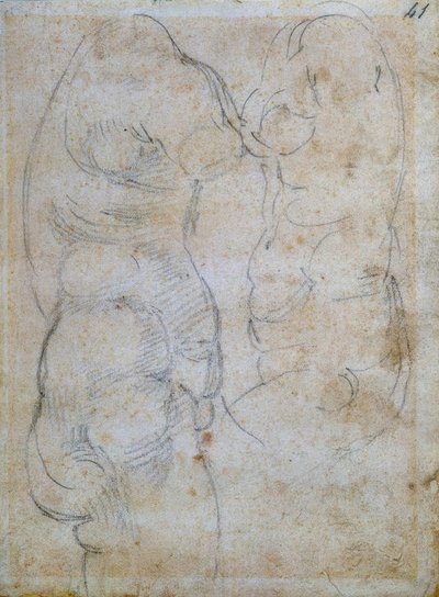 Due studi di un torso femminile antico da Michelangelo Buonarroti