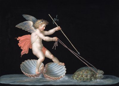 Cupido guidato dalle Tartarughe da Michelangelo Maestri