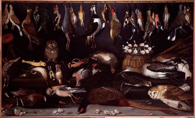 Natura morta con uccelli da Michelangelo Merisi da (attr. to) Caravaggio