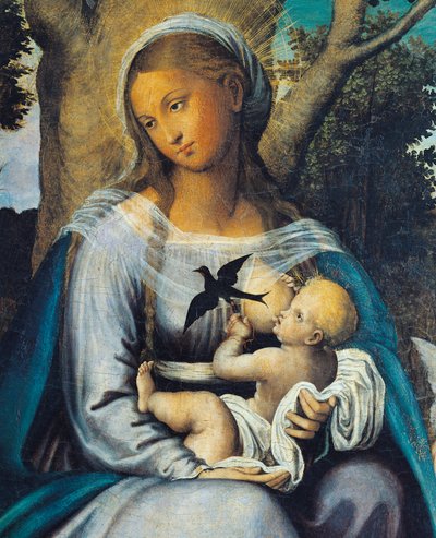 Riposo in Egitto (dettaglio) da Michele (attr.) Cavaro
