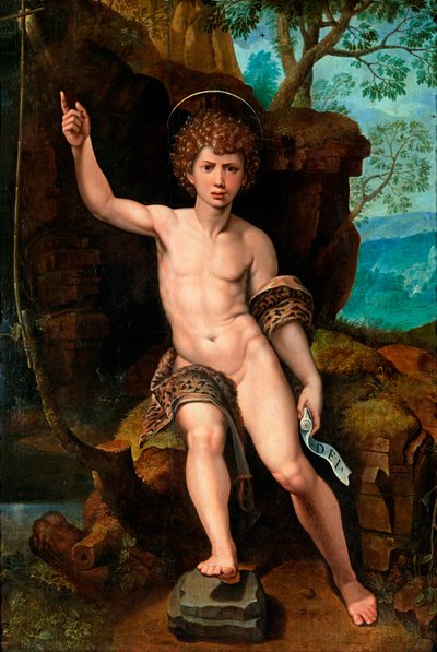 Rappresentazione di San Giovanni Battista da Michiel I Coxie or Coxcie