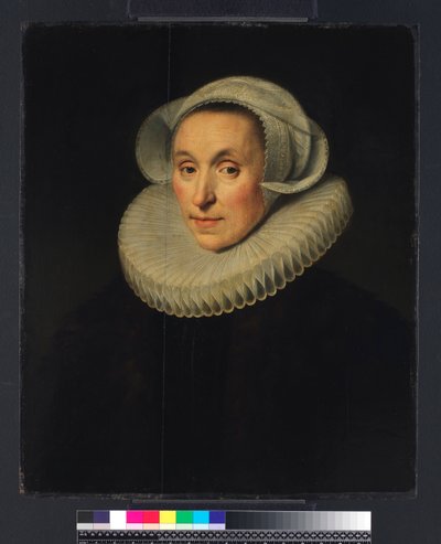 Ritratto di una signora, 1615 da Michiel Jansz. van Miereveld