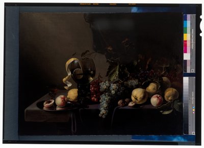Natura morta con frutta e uva da Michiel Simons