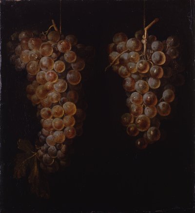 Grappoli d