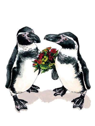 Pinguini anniversario sul bianco, 2020 da Mike Davis
